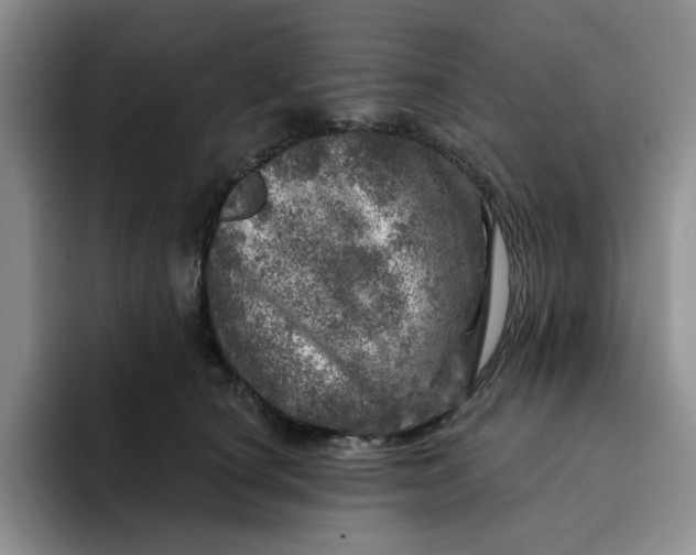 X0000091720660200709141206