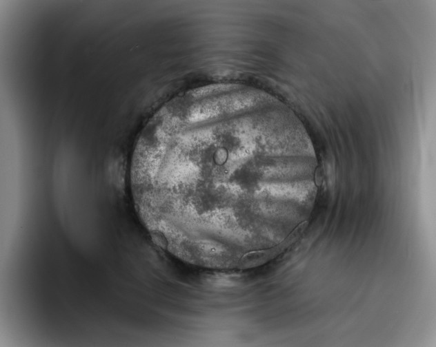 X0000091720664200709141206