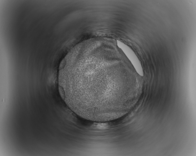 X0000091720665200709141206