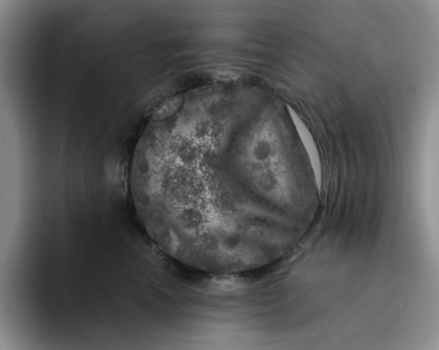 X0000091720666200709141206