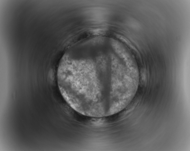 X0000091720667200709141206