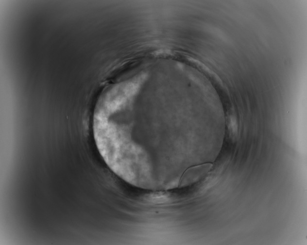 X0000091720668200709141206