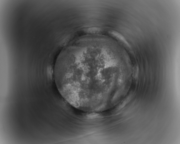 X0000091720669200709141206