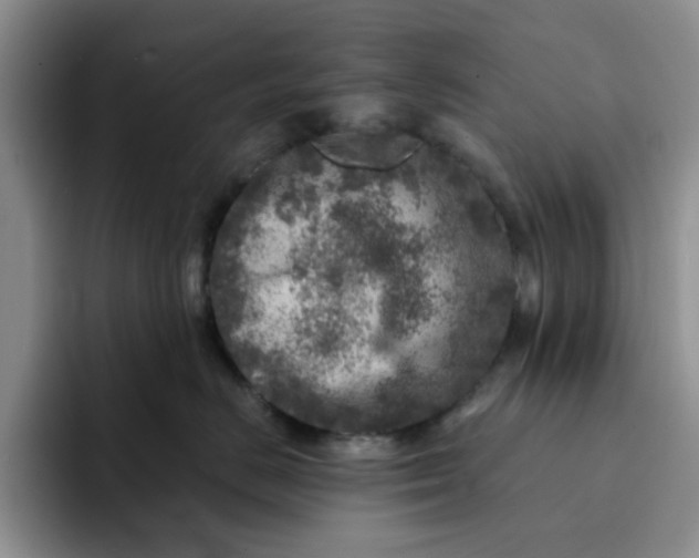 X0000091720670200709141206