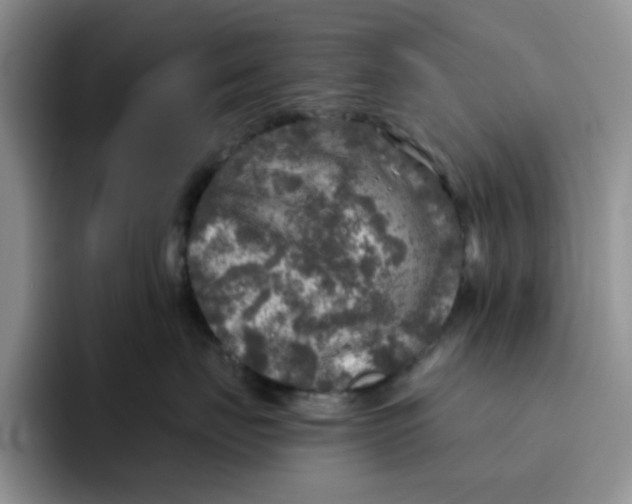 X0000091720671200709141206