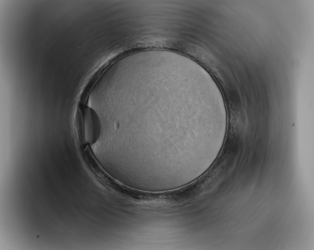 X0000091720674200709141206