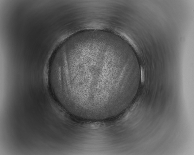 X0000091720675200709141206