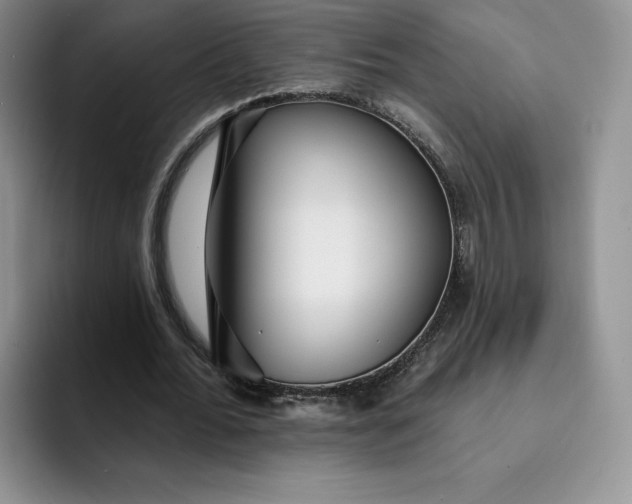 X0000091720676200709141206