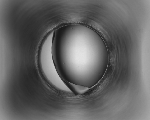 X0000091720677200709141206