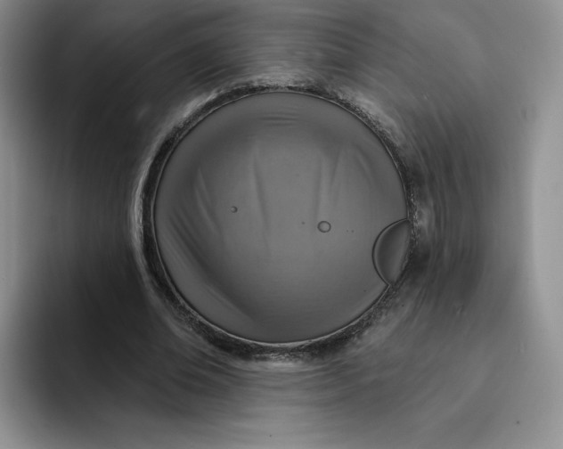 X0000091720678200709141206