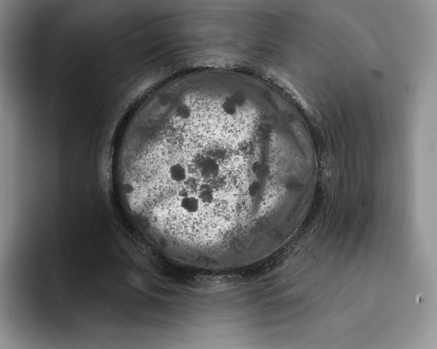 X0000091720679200709141206