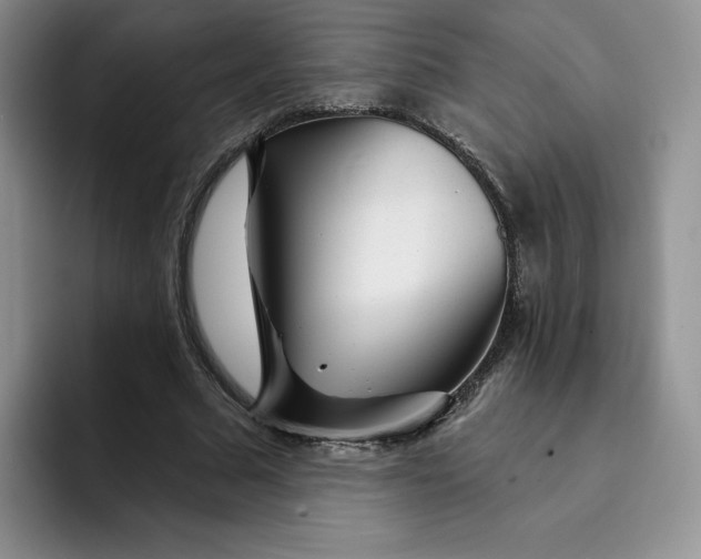 X0000091720681200709141206