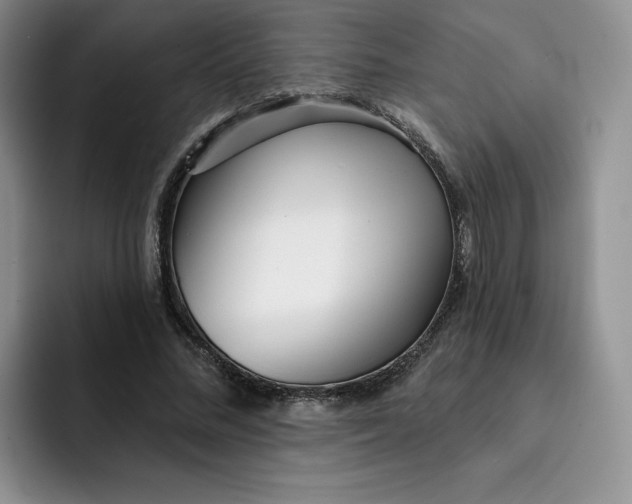 X0000091720684200709141206