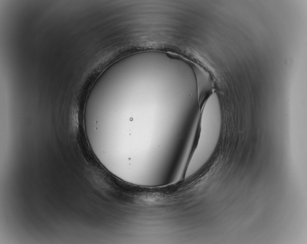 X0000091720685200709141206