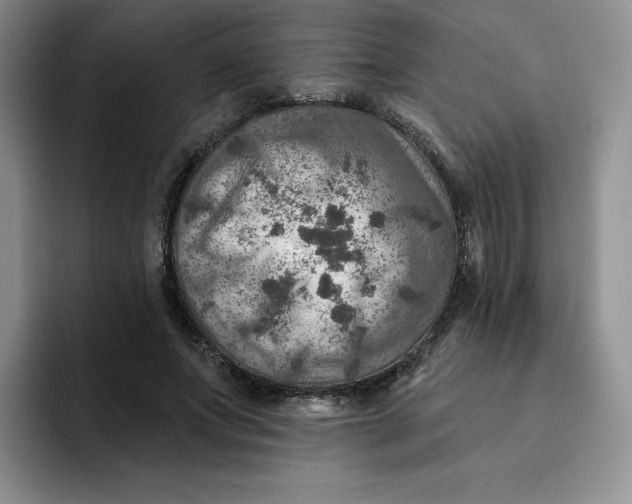 X0000091720687200709141206