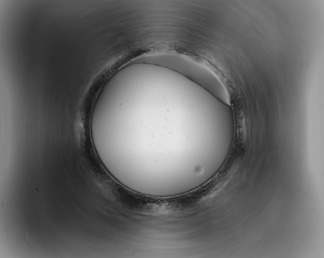 X0000091720688200709141206