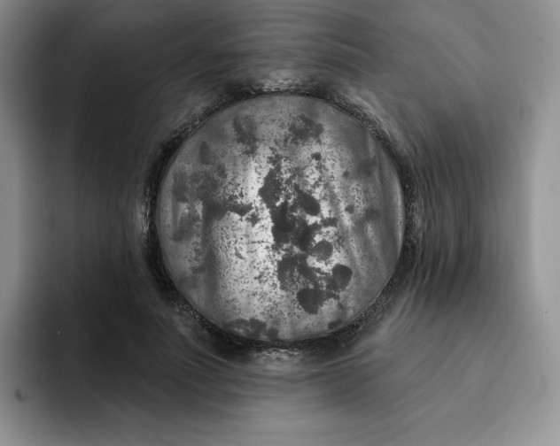 X0000091720691200709141206