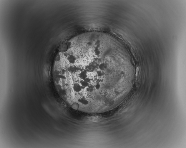 X0000091720695200709141206