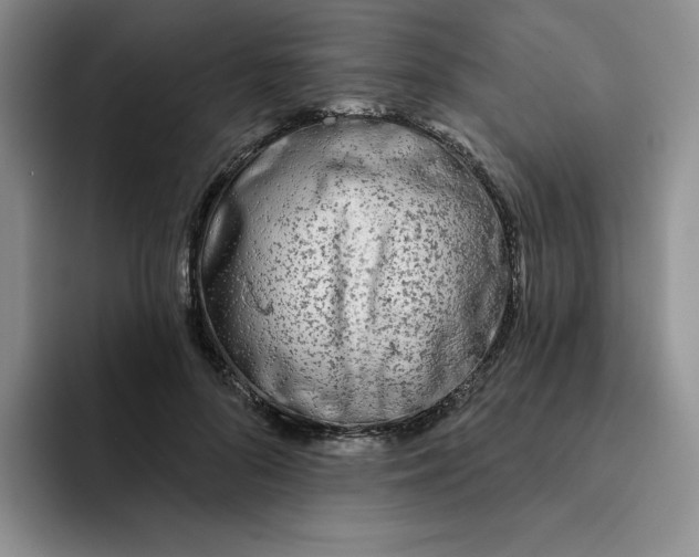 X0000091720696200709141206