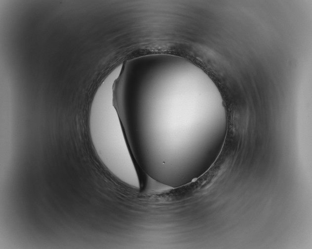 X0000091720697200709141206