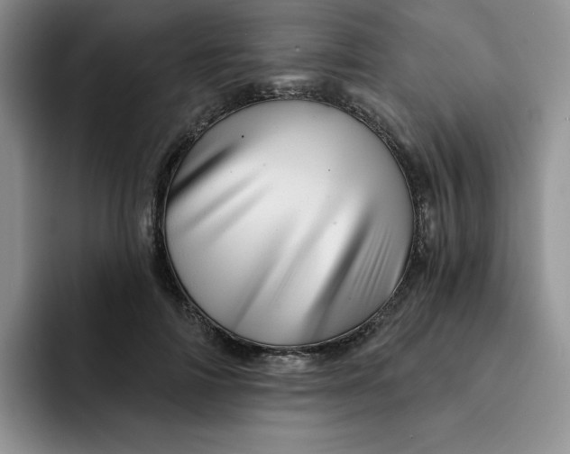 X0000091720698200709141206