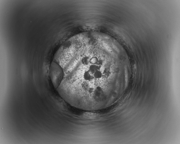 X0000091720699200709141206