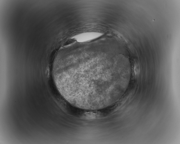 X0000091720703200709141205