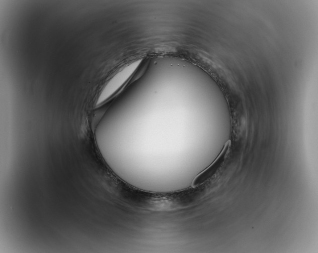 X0000091720704200709141205