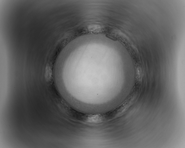 X0000091720705200709141205