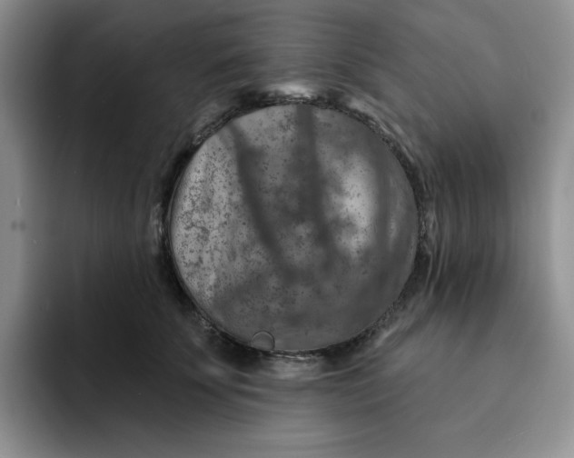 X0000091720707200709141205