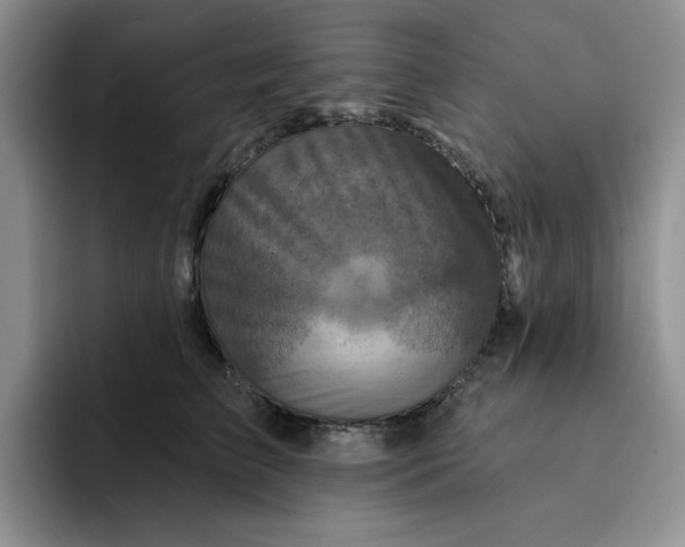 X0000091720709200709141205