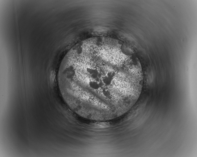 X0000091720711200709141205