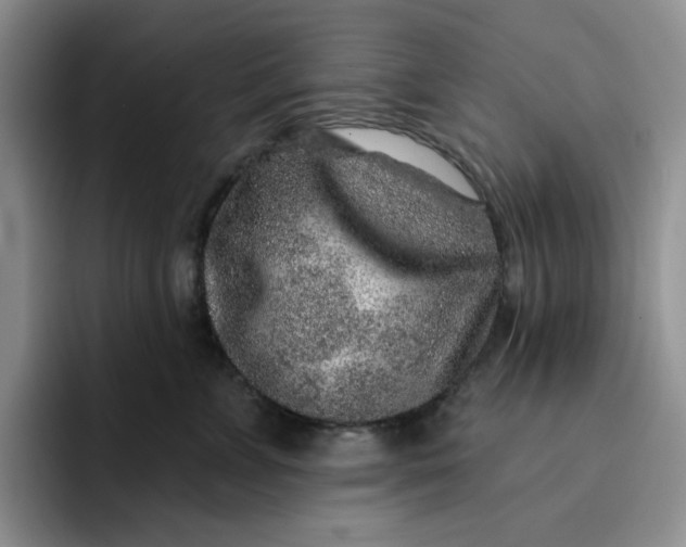 X0000091720715200709141205