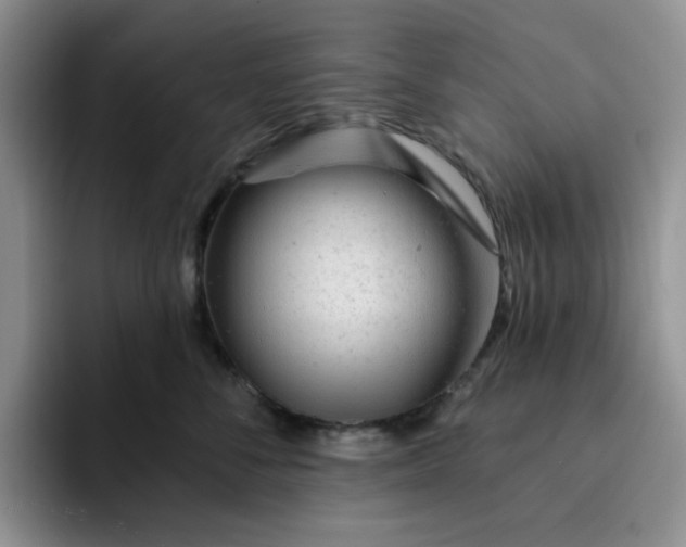 X0000091720716200709141205