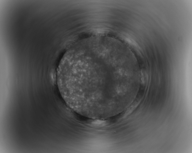 X0000091720718200709141205