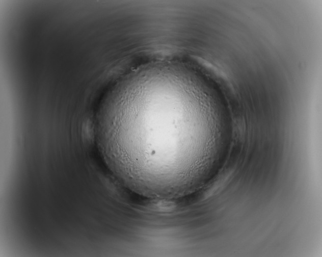 X0000091720719200709141205