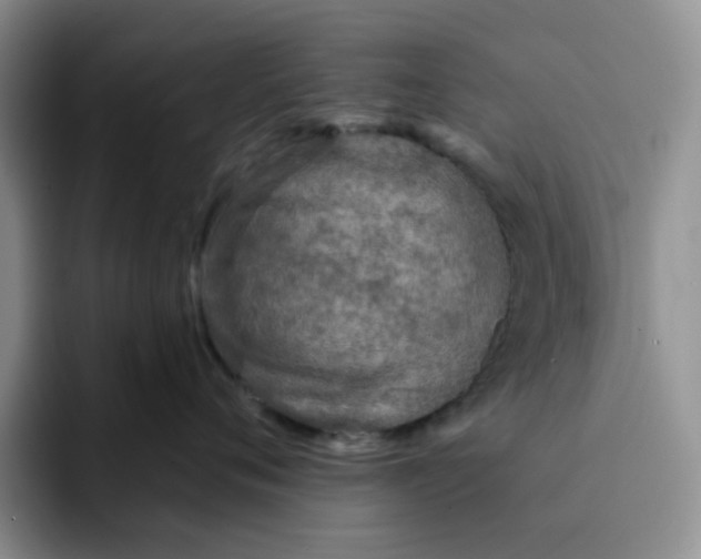 X0000091720720200709141205