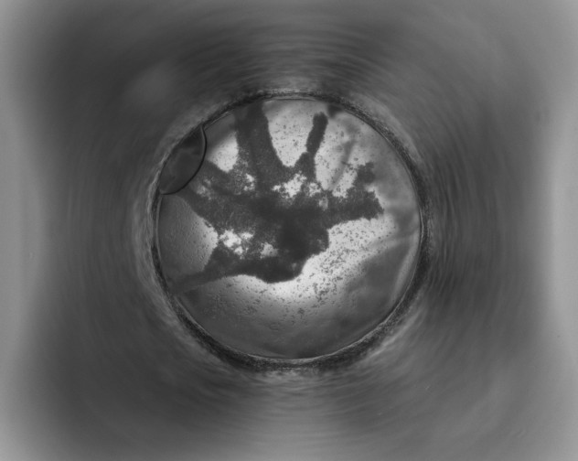 X0000091720721200709141205