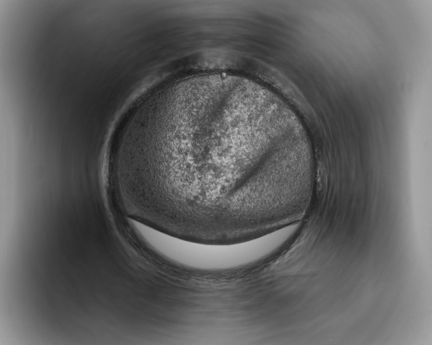 X0000091720722200709141205