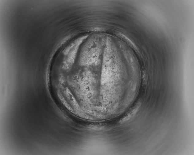 X0000091720725200709141205