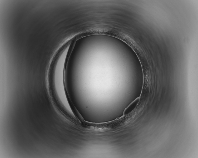 X0000091720726200709141205