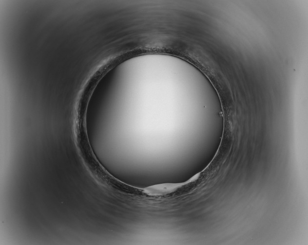 X0000091720728200709141205