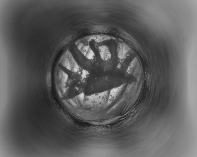 X0000091720729200709141205