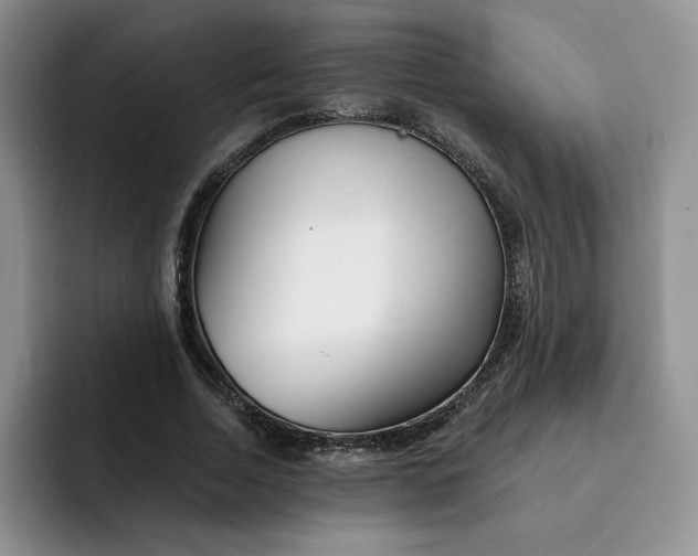 X0000091720730200709141205