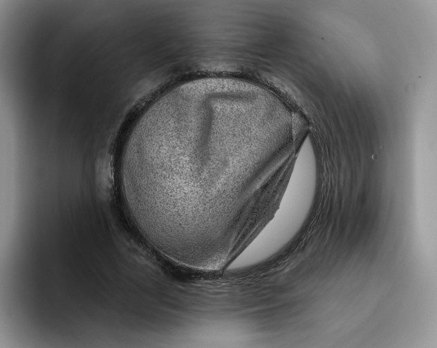 X0000091720731200709141205