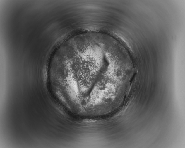 X0000091720733200709141205