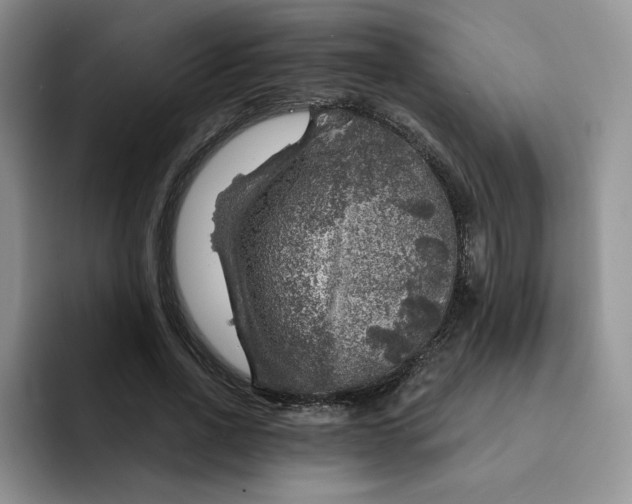 X0000091720734200709141205