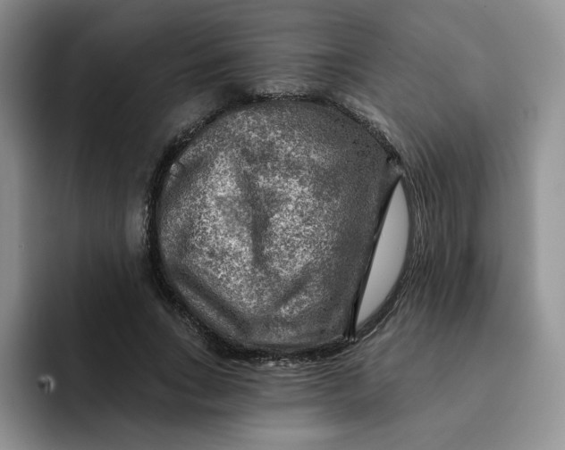 X0000091720735200709141205