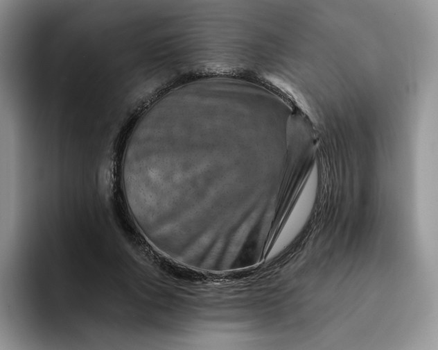 X0000091720736200709141205