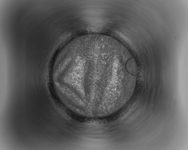 X0000091720738200709141205